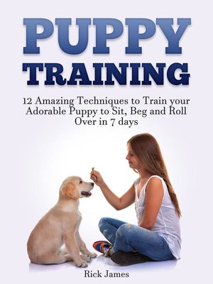 cover image of Puppy Training